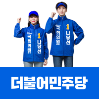 더불어민주당