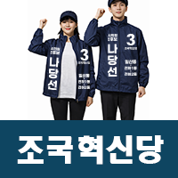 조국혁신당