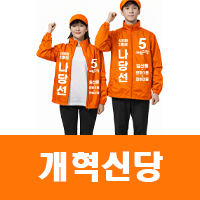 개혁신당